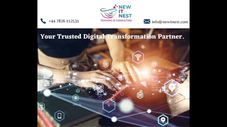 IT Consulting from New IT Nest Services