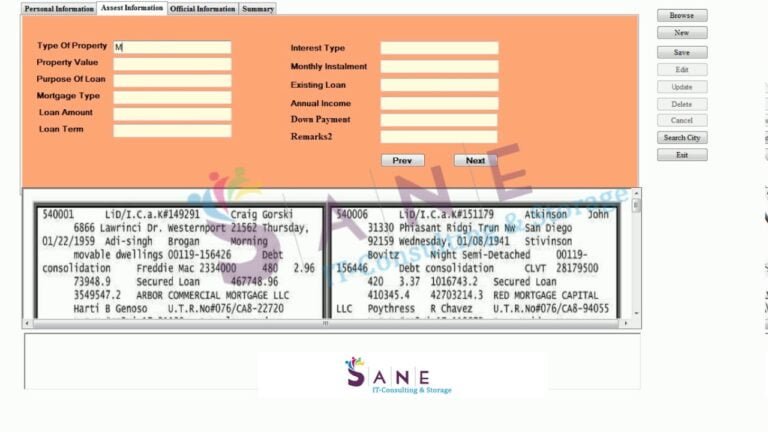 Mortgage Data Entry Project Demo by Sane IT Consulting and Storage Pvt. Ltd.
